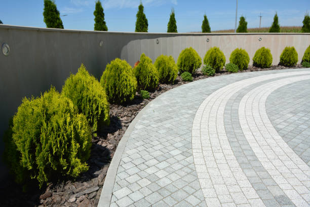 Best Driveway Pavers Near Me  in Cabot, AR